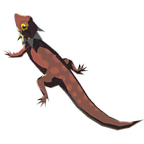 Hightail Lizard